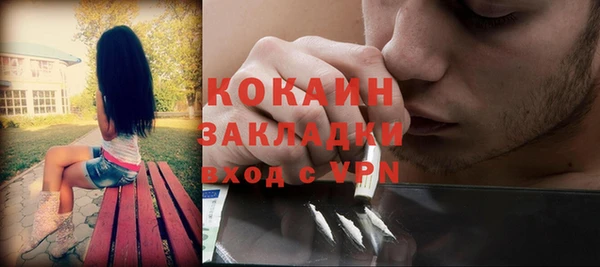 твердый Козловка