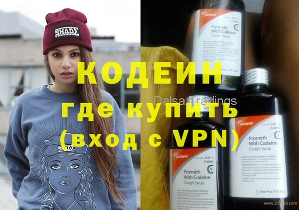 шишки Сатка