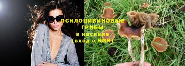 твердый Козловка