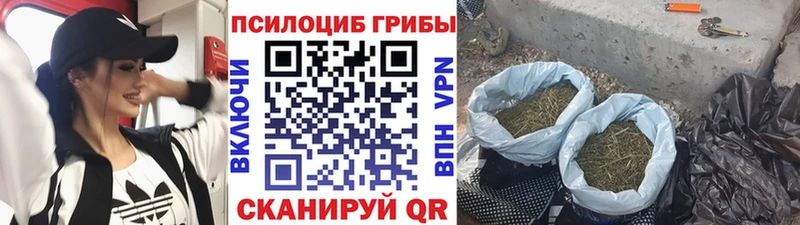 блэк спрут зеркало  Шумиха  Галлюциногенные грибы прущие грибы 